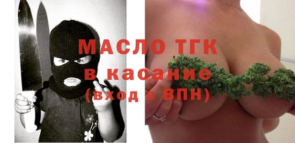 СК Алексин
