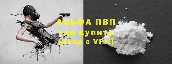 СК Алексин