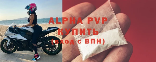 СК Алексин