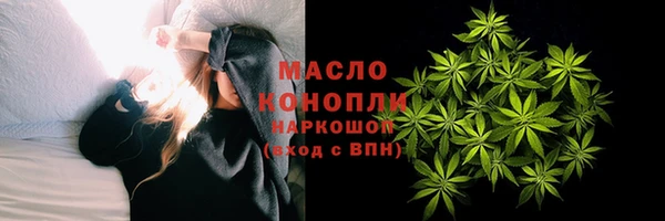 СК Алексин