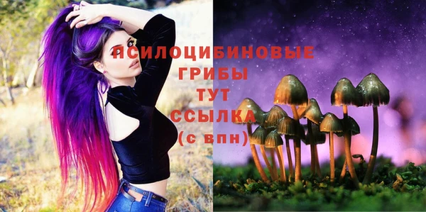 каннабис Алзамай