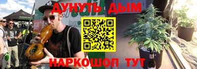 сатива Бийск