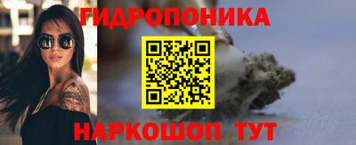 сатива Бийск