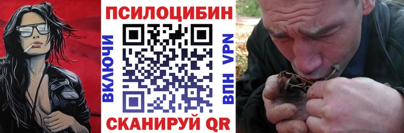 ОМГ ОМГ ONION  Аргун  Галлюциногенные грибы мицелий  наркота 