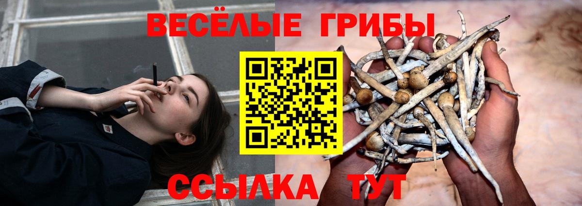 Псилоцибиновые грибы мицелий  Вход с VPN  Аргун 